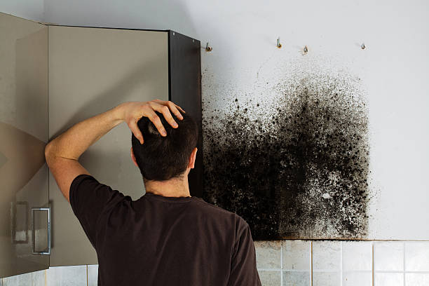 Best Crawl Space Mold Remediation in Columbus, GA